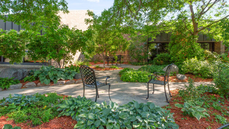 garden2 768x433